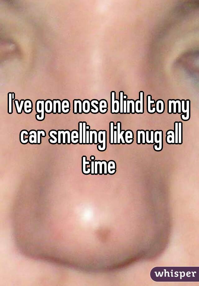 I've gone nose blind to my car smelling like nug all time 