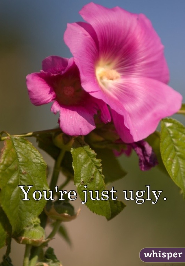 You're just ugly.