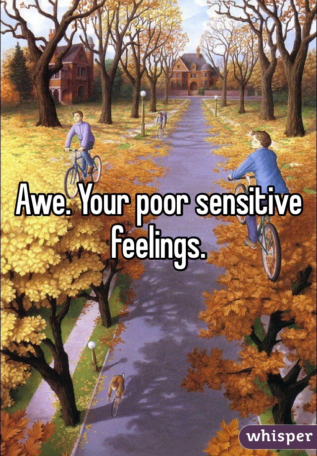 Awe. Your poor sensitive feelings. 
