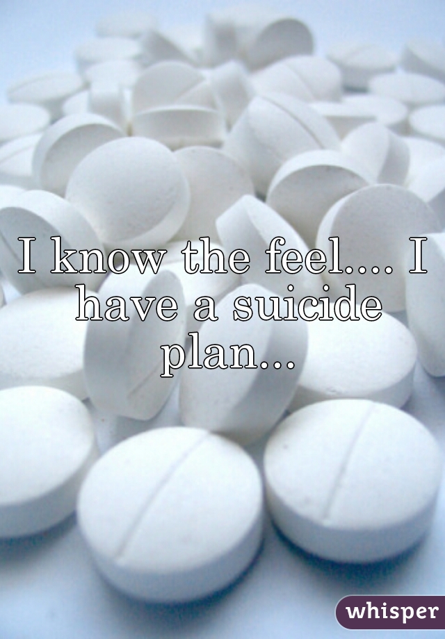 I know the feel.... I have a suicide plan...