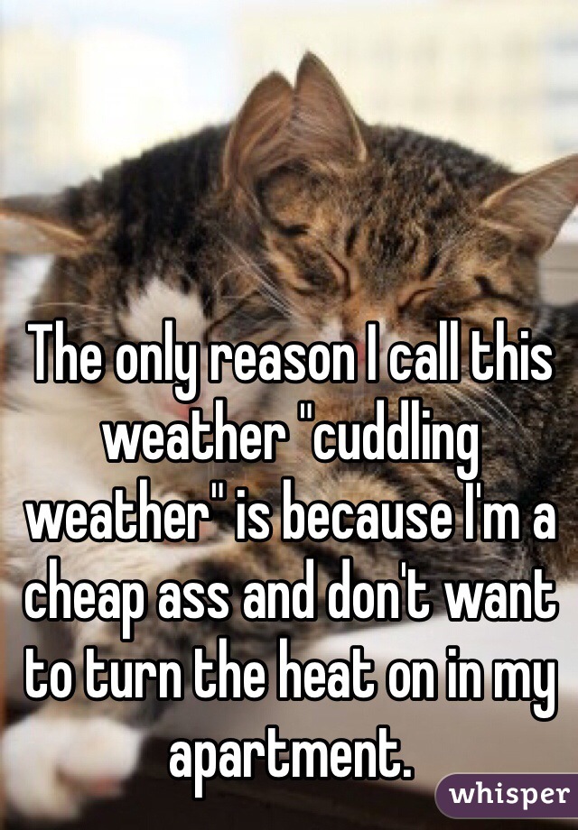 The only reason I call this weather "cuddling weather" is because I'm a cheap ass and don't want to turn the heat on in my apartment.