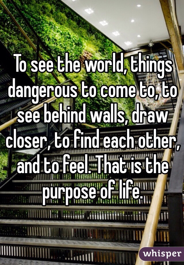 To see the world, things dangerous to come to, to see behind walls, draw closer, to find each other, and to feel. That is the purpose of life.
