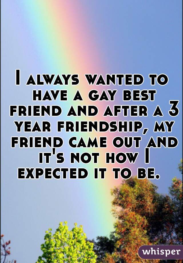 I always wanted to have a gay best friend and after a 3 year friendship, my friend came out and it's not how I expected it to be.  