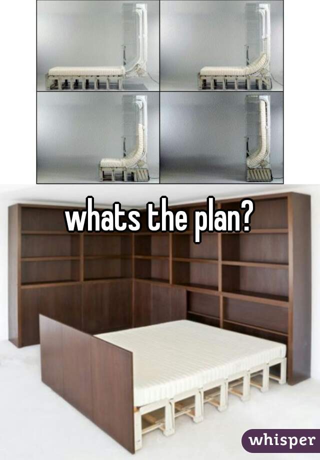 whats the plan?