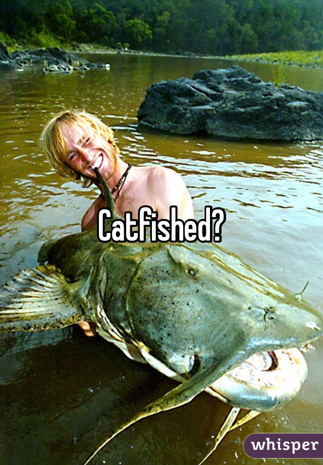 Catfished?