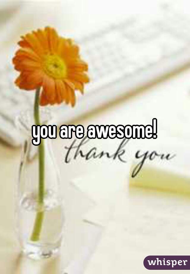 you are awesome!