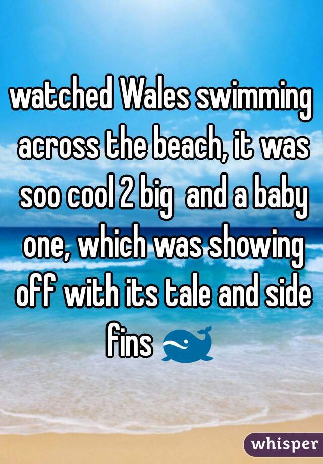 watched Wales swimming across the beach, it was soo cool 2 big  and a baby one, which was showing off with its tale and side fins 🐋 