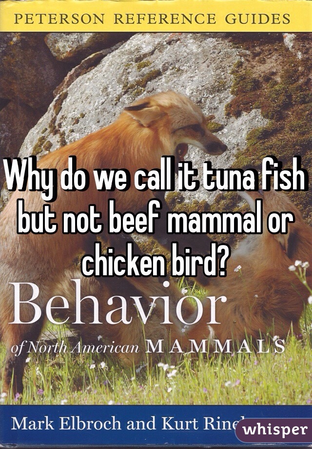 Why do we call it tuna fish but not beef mammal or chicken bird?