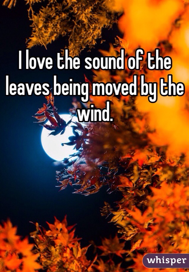 I love the sound of the leaves being moved by the wind. 