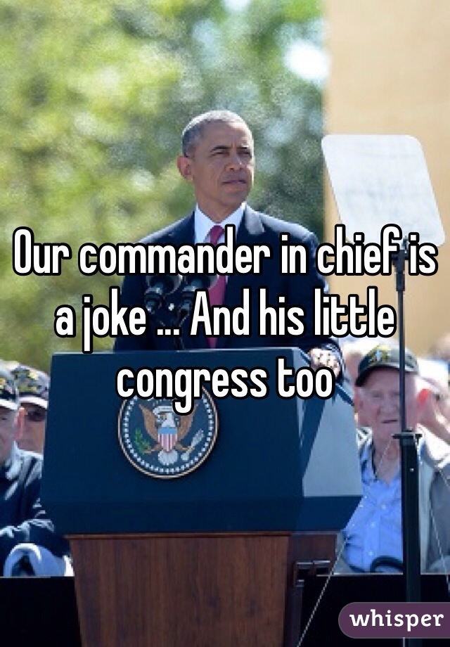 Our commander in chief is a joke ... And his little congress too 
