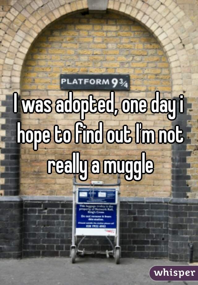 I was adopted, one day i hope to find out I'm not really a muggle
