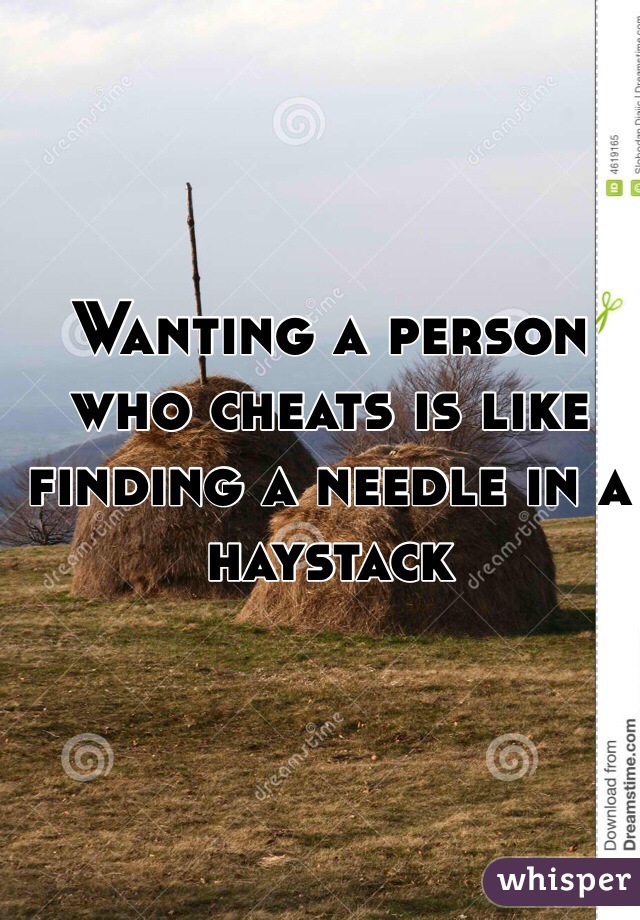 Wanting a person who cheats is like finding a needle in a haystack