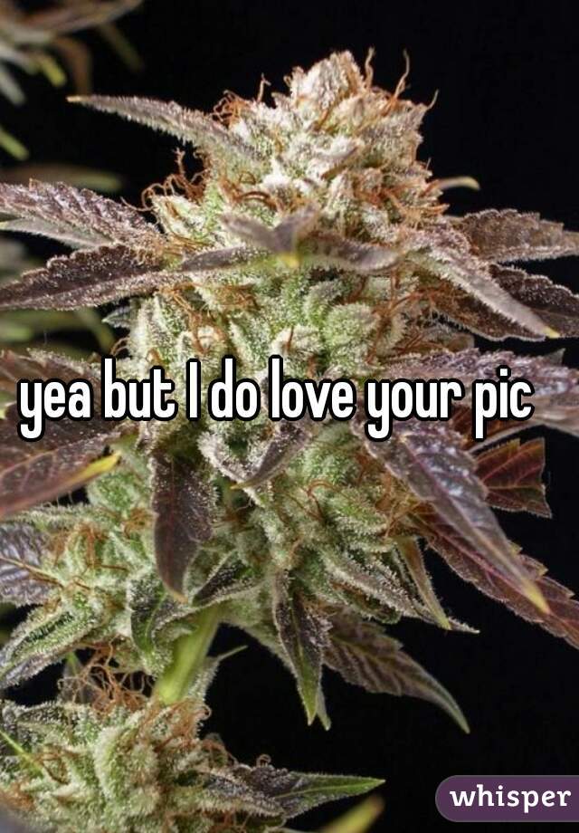yea but I do love your pic  