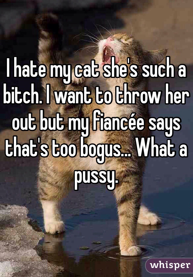 I hate my cat she's such a bitch. I want to throw her out but my fiancée says that's too bogus... What a pussy.