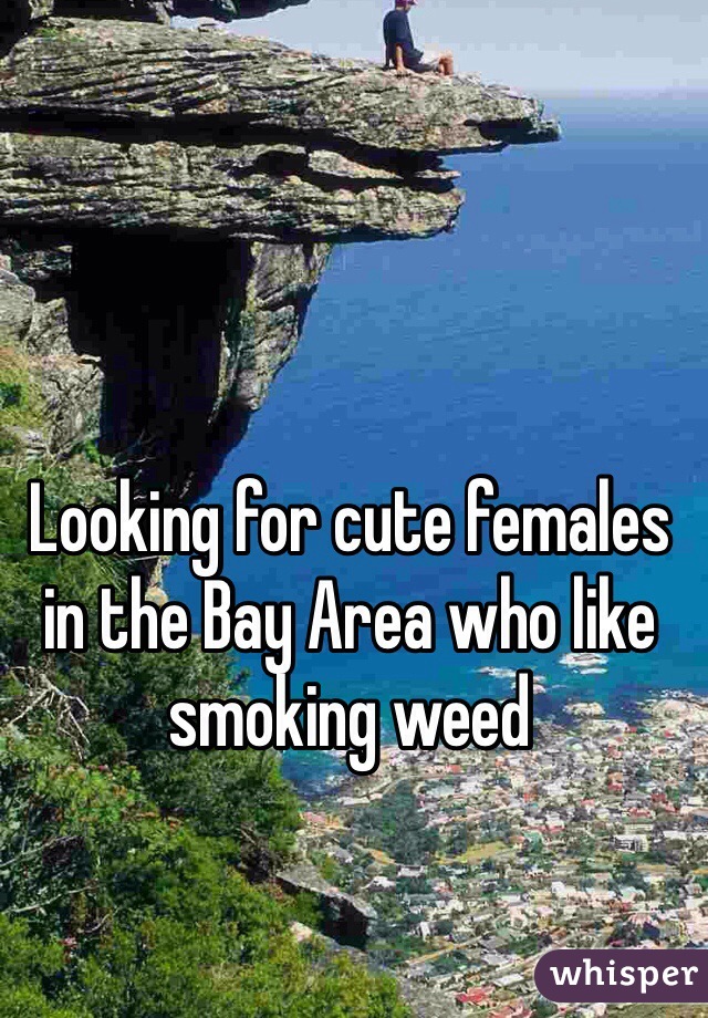 Looking for cute females in the Bay Area who like smoking weed 