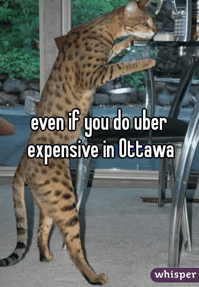 even if you do uber expensive in Ottawa