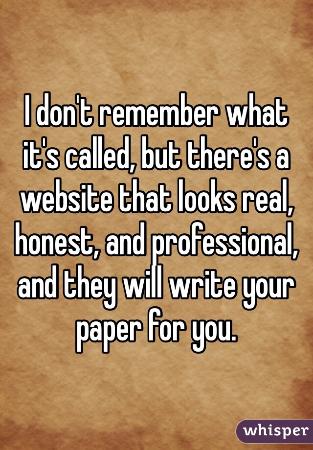 I don't remember what it's called, but there's a website that looks real, honest, and professional, and they will write your paper for you. 