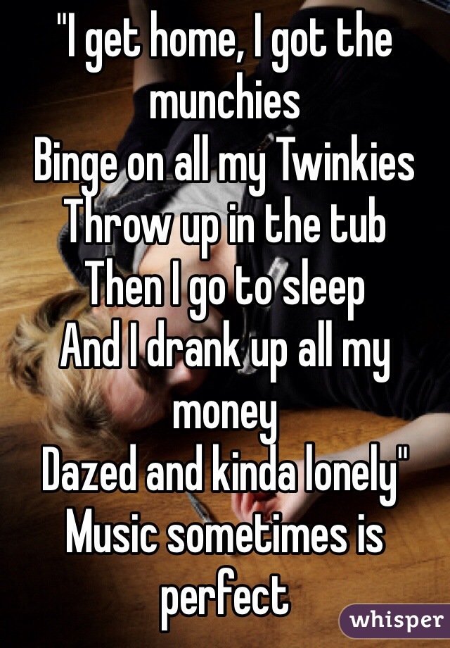 "I get home, I got the munchies
Binge on all my Twinkies
Throw up in the tub
Then I go to sleep
And I drank up all my money
Dazed and kinda lonely" 
Music sometimes is perfect 