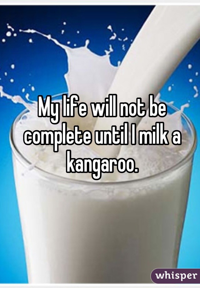 My life will not be complete until I milk a kangaroo.