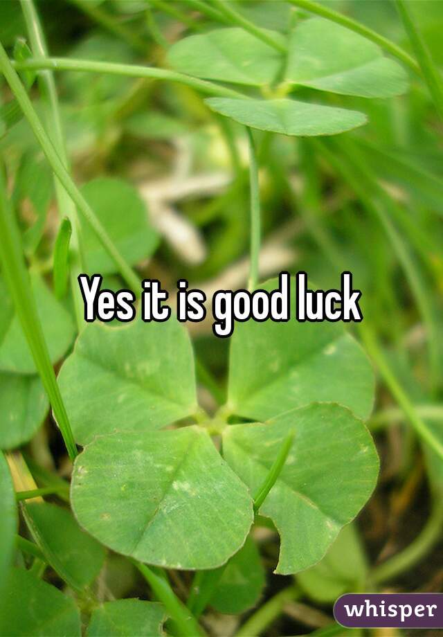 Yes it is good luck