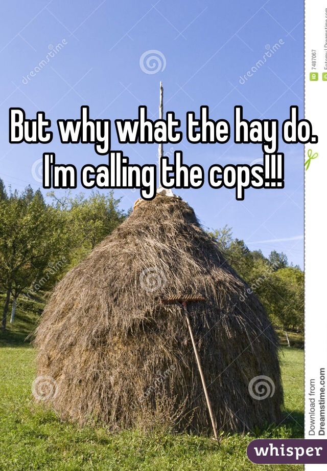 But why what the hay do. I'm calling the cops!!!