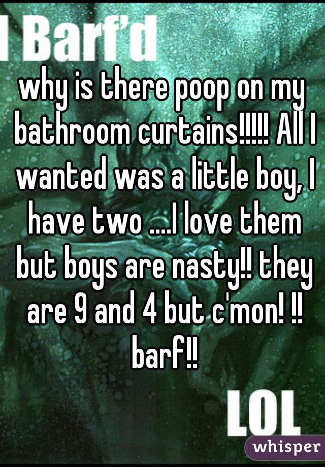 why is there poop on my bathroom curtains!!!!! All I wanted was a little boy, I have two ....I love them but boys are nasty!! they are 9 and 4 but c'mon! !! barf!!