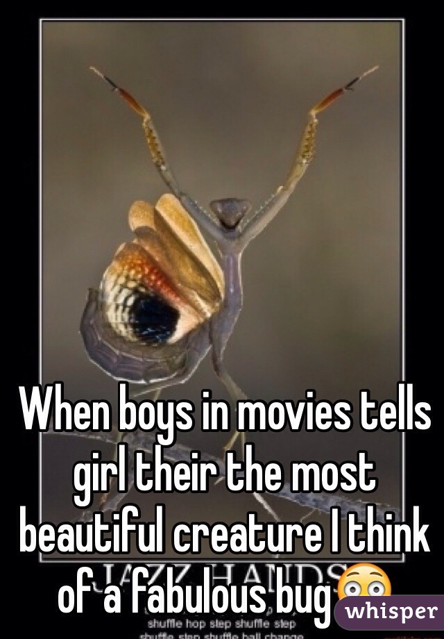 When boys in movies tells girl their the most beautiful creature I think of a fabulous bug😳