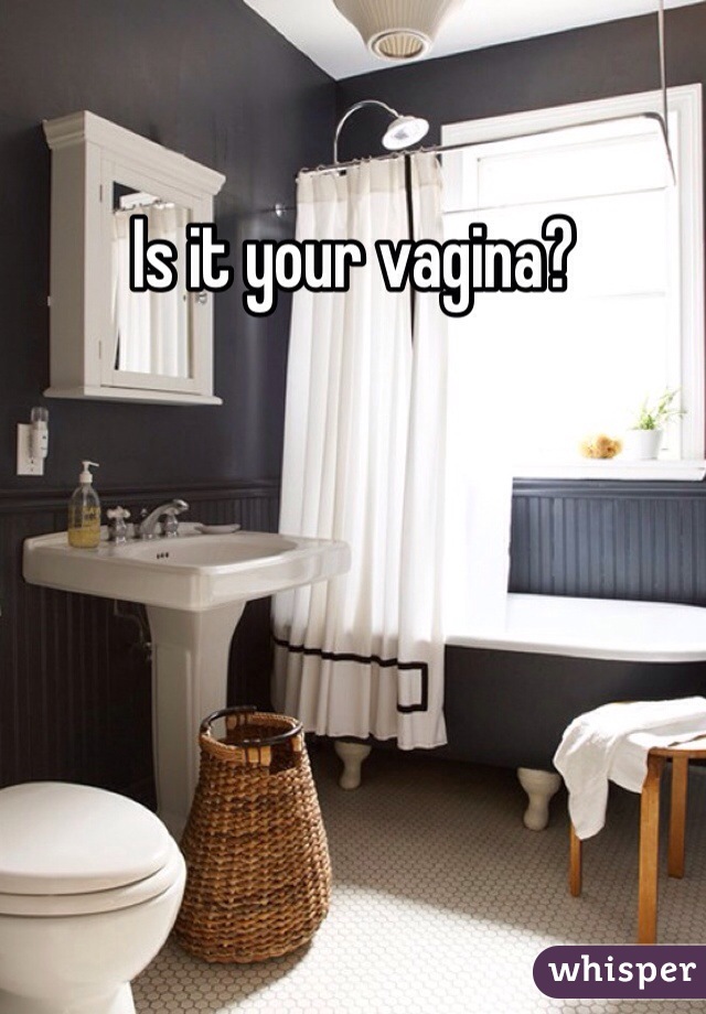 Is it your vagina?