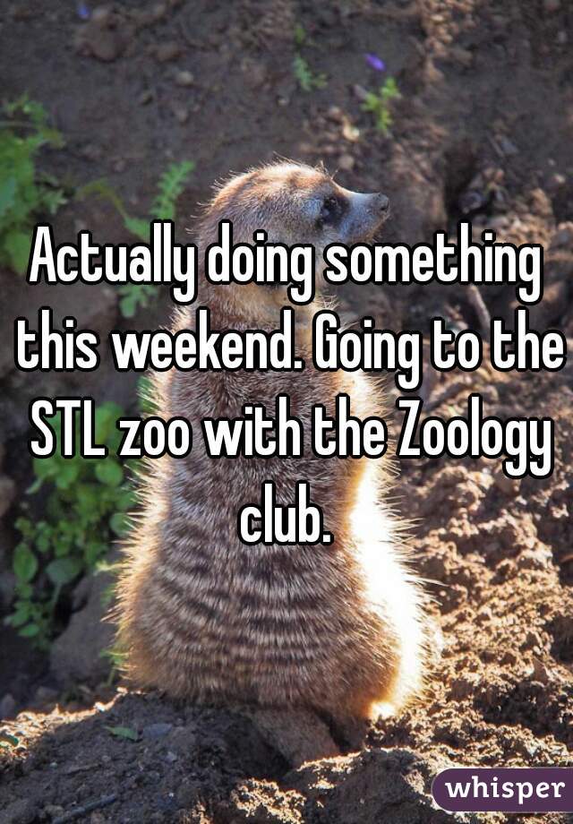 Actually doing something this weekend. Going to the STL zoo with the Zoology club. 