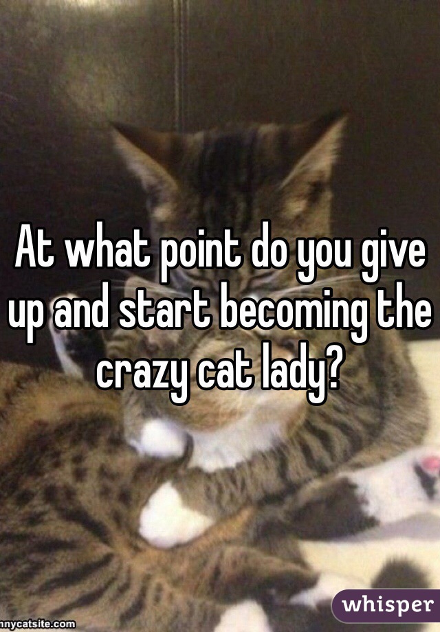 At what point do you give up and start becoming the crazy cat lady?