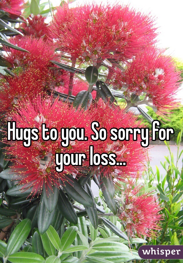 Hugs to you. So sorry for your loss...