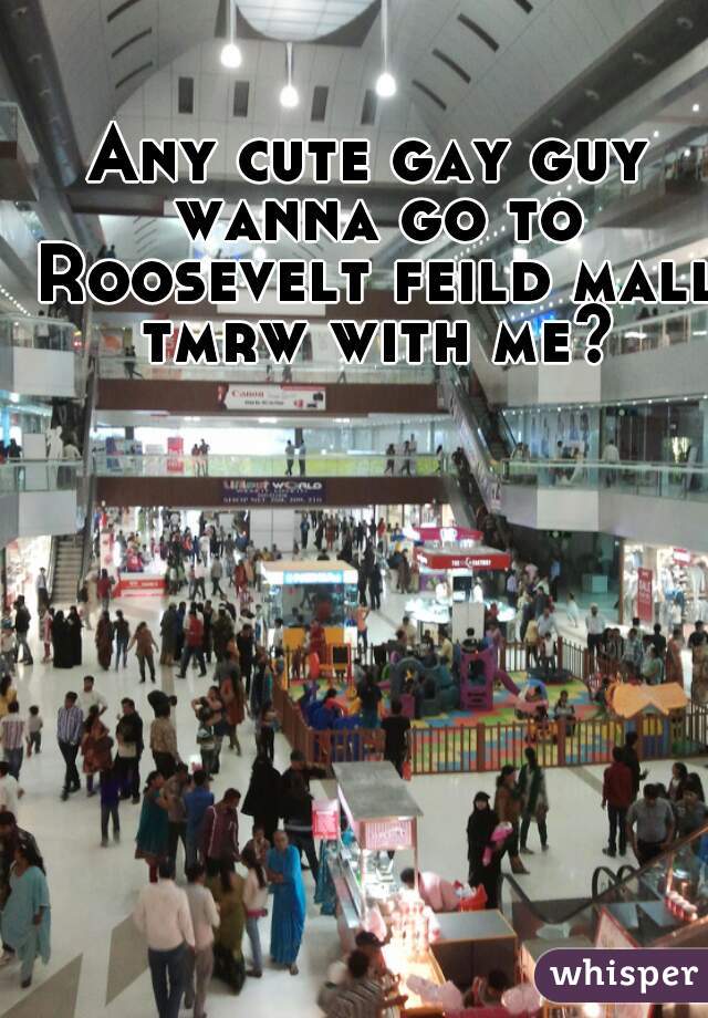 Any cute gay guy wanna go to Roosevelt feild mall tmrw with me?