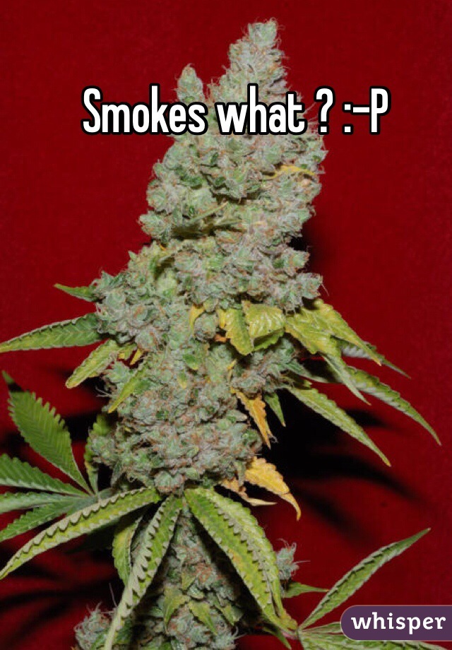 Smokes what ? :-P
