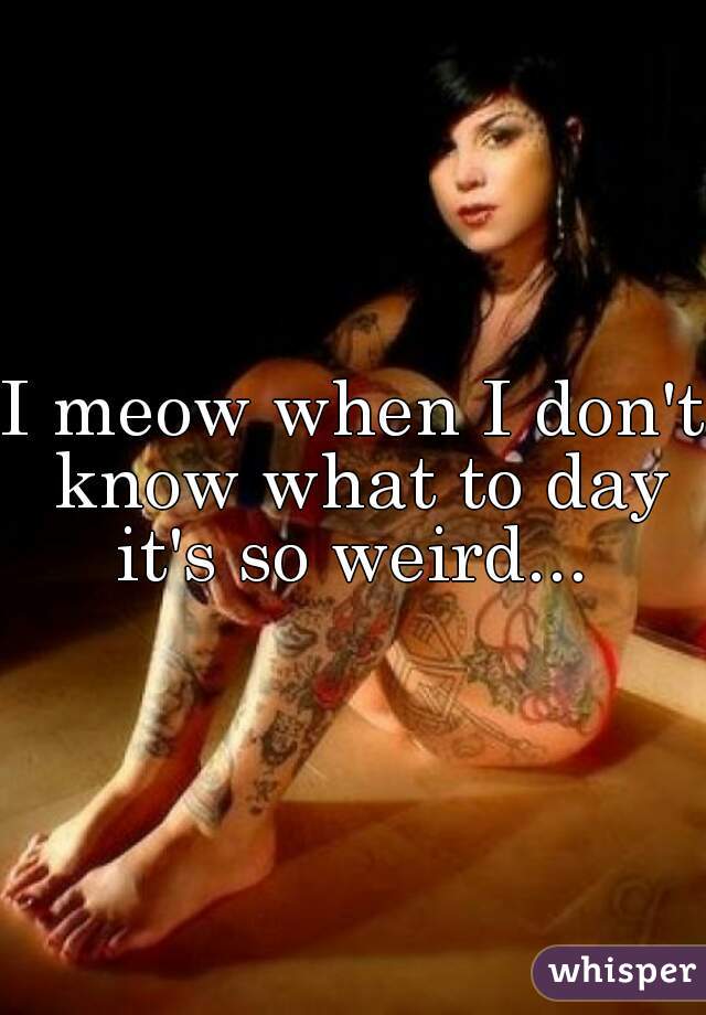I meow when I don't know what to day it's so weird... 