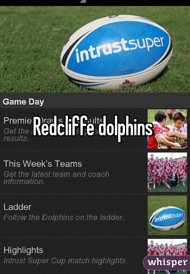 Redcliffe dolphins 