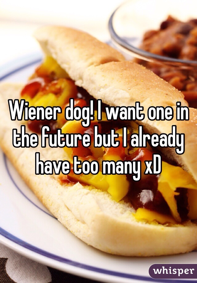 Wiener dog! I want one in the future but I already have too many xD 