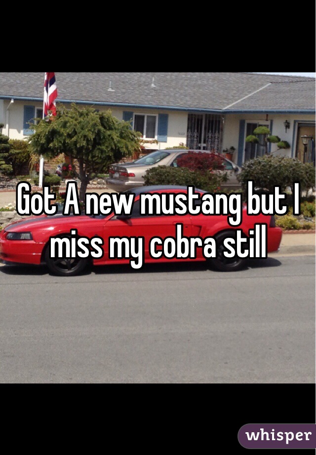 Got A new mustang but I miss my cobra still