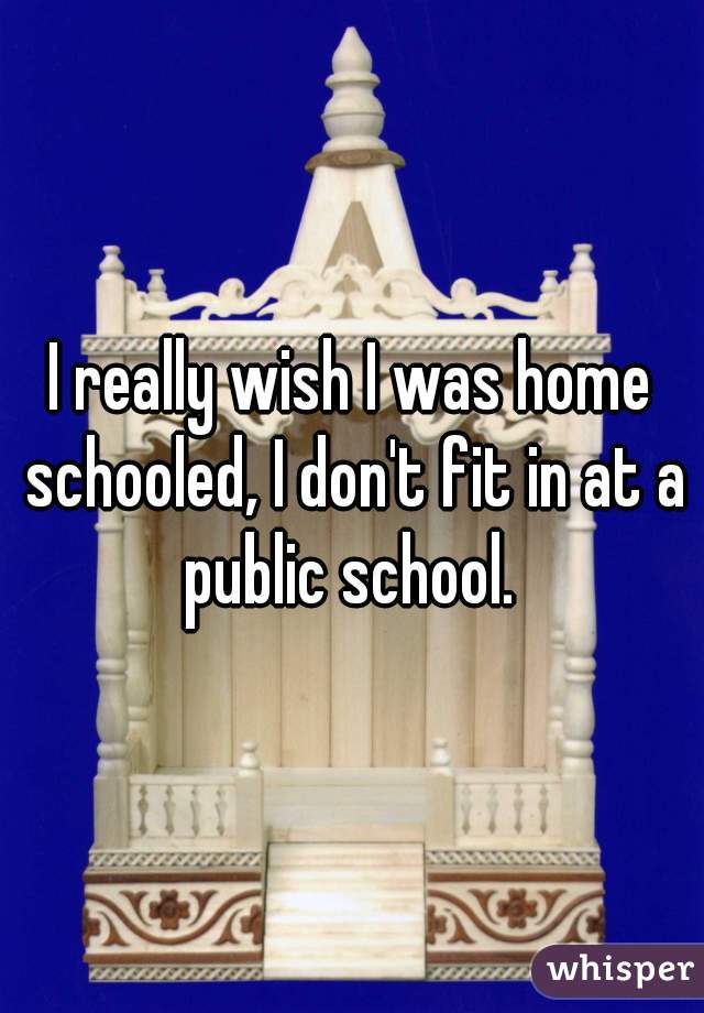 I really wish I was home schooled, I don't fit in at a public school. 