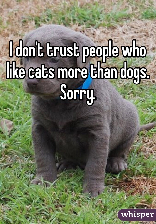 I don't trust people who like cats more than dogs. Sorry.