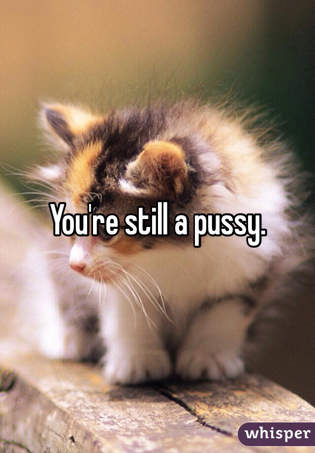 You're still a pussy.