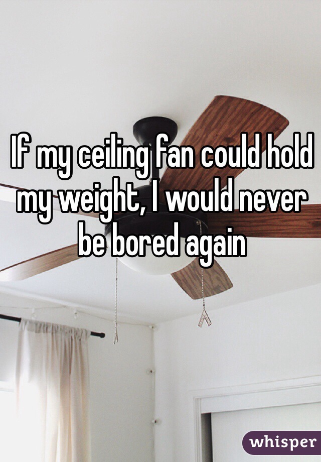 If my ceiling fan could hold my weight, I would never be bored again