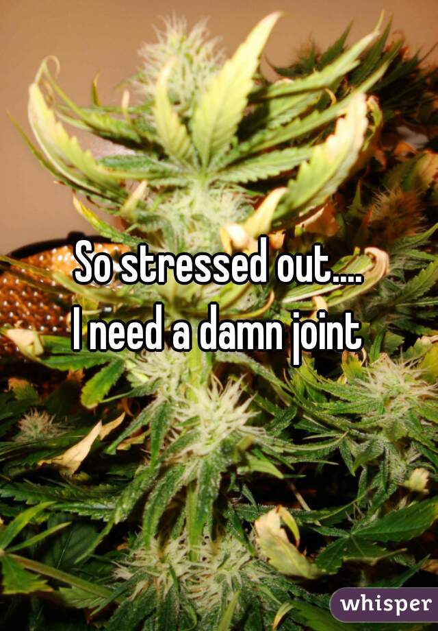 So stressed out....
I need a damn joint