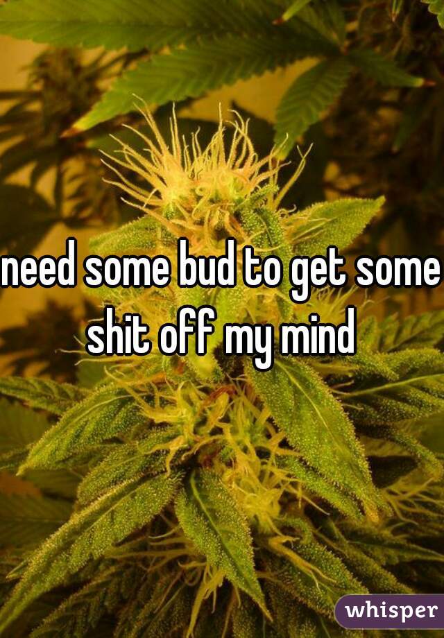 need some bud to get some shit off my mind 