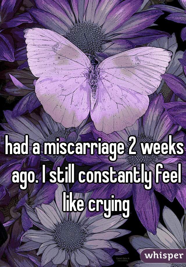 had a miscarriage 2 weeks ago. I still constantly feel like crying