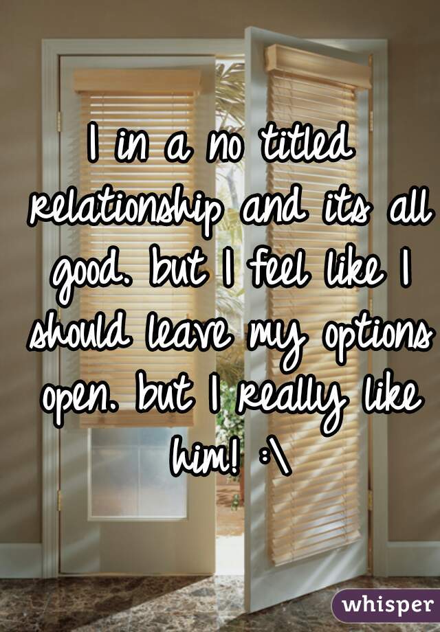 I in a no titled relationship and its all good. but I feel like I should leave my options open. but I really like him! :\