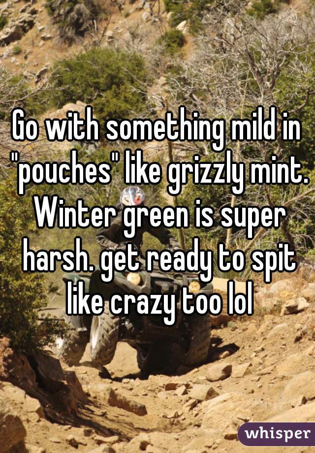 Go with something mild in "pouches" like grizzly mint. Winter green is super harsh. get ready to spit like crazy too lol