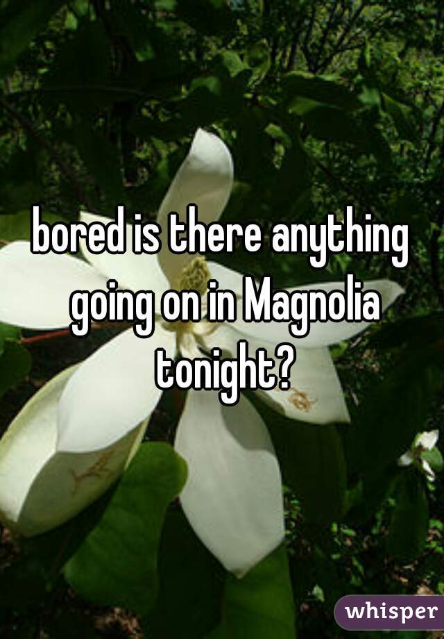 bored is there anything going on in Magnolia tonight?