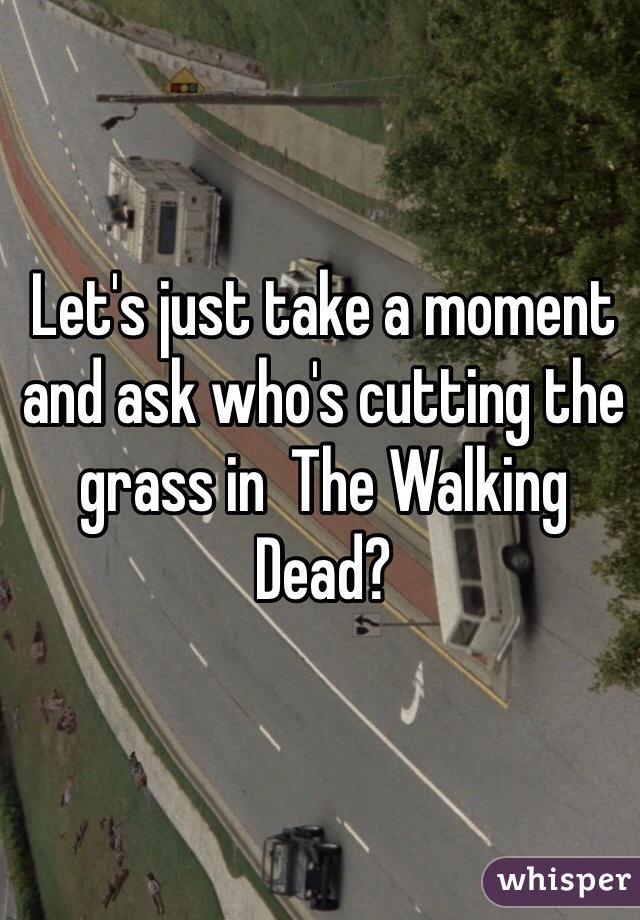 Let's just take a moment and ask who's cutting the grass in  The Walking Dead?