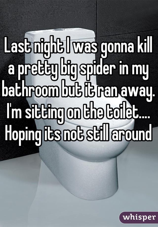 Last night I was gonna kill a pretty big spider in my bathroom but it ran away. I'm sitting on the toilet.... Hoping its not still around