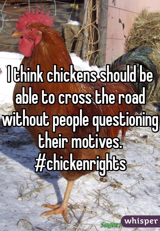 I think chickens should be able to cross the road without people questioning their motives.
#chickenrights